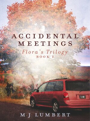 cover image of Accidental Meetings